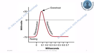 Nerve Physiology - Nerve Action Potential | PDF