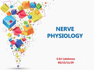 NERVE
PHYSIOLOGY
S.Sri Lakshman
BS/15/11/29
 
