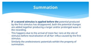  If a second stimulus is applied before the potential produced
by the first stimulus has disappeared, both the potential changes
are added together producing a larger and/or prolonged wave in
the recording.
 This happens due to the arrival of more Na+ ions at the site of
stimulus before neutralization of all Na+ influx caused by the first
stimulus.
 Similarly the anelectrotonic potentials exhibit the property of
summation.
Summation
 