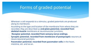  Wherever a cell responds to a stimulus, graded potentials are produced
along its membrane.
 According to the type and location of the membrane from where they are
recorded, they are described as end-plate potential, recorded from
skeletal muscle membrane at neuromuscular junctions.
 Receptor potential, recorded from sensory nerve endings.
 Synaptic potential, recorded from membrane of postsynaptic neurons at
neuro-neuronal junctions.
 Pacemaker potential, recorded from pacemaker cells in the heart,
intestine, etc. and so on.
Forms of graded potential
 