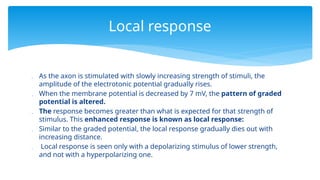  As the axon is stimulated with slowly increasing strength of stimuli, the
amplitude of the electrotonic potential gradually rises.
 When the membrane potential is decreased by 7 mV, the pattern of graded
potential is altered.
 The response becomes greater than what is expected for that strength of
stimulus. This enhanced response is known as local response:
 Similar to the graded potential, the local response gradually dies out with
increasing distance.
 Local response is seen only with a depolarizing stimulus of lower strength,
and not with a hyperpolarizing one.
Local response
 