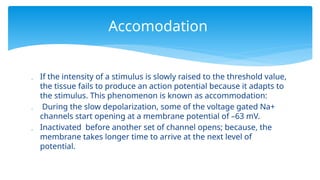  If the intensity of a stimulus is slowly raised to the threshold value,
the tissue fails to produce an action potential because it adapts to
the stimulus. This phenomenon is known as accommodation:
 During the slow depolarization, some of the voltage gated Na+
channels start opening at a membrane potential of –63 mV.
 Inactivated before another set of channel opens; because, the
membrane takes longer time to arrive at the next level of
potential.
Accomodation
 