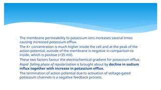  The membrane permeability to potassium ions increases several times
causing increased potassium efflux.
 The K+ concentration is much higher inside the cell and at the peak of the
action potential, outside of the membrane is negative in comparison to
inside, which is positive (+35 mV).
 These two factors favour the electrochemical gradient for potassium efflux.
 Rapid falling phase of repolarization is brought about by decline in sodium
influx together with increase in potassium efflux.
 The termination of action potential due to activation of voltage-gated
potassium channels is a negative feedback process.
 
