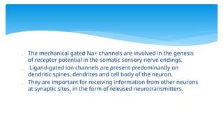  The mechanical gated Na+ channels are involved in the genesis
of receptor potential in the somatic sensory nerve endings.
 Ligand-gated ion channels are present predominantly on
dendritic spines, dendrites and cell body of the neuron.
 They are important for receiving information from other neurons
at synaptic sites, in the form of released neurotransmitters.
 