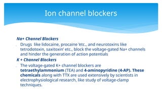 Na+ Channel Blockers
 Drugs like lidocaine, procaine ‘etc., and neurotoxins like
tetrodotoxin, saxitoxin’ etc., block the voltage-gated Na+ channels
and hinder the generation of action potentials
K + Channel Blockers
 The voltage-gated K+ channel blockers are
tetraethylammonium (TEA) and 4-aminopyridine (4-AP). These
chemicals along with TTX are used extensively by scientists in
electrophysiological research, like study of voltage-clamp
techniques.
Ion channel blockers
 