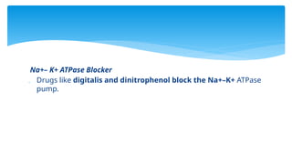 Na+– K+ ATPase Blocker
 Drugs like digitalis and dinitrophenol block the Na+–K+ ATPase
pump.
 