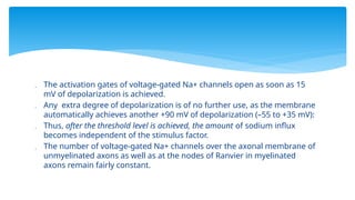  The activation gates of voltage-gated Na+ channels open as soon as 15
mV of depolarization is achieved.
 Any extra degree of depolarization is of no further use, as the membrane
automatically achieves another +90 mV of depolarization (–55 to +35 mV):
 Thus, after the threshold level is achieved, the amount of sodium influx
becomes independent of the stimulus factor.
 The number of voltage-gated Na+ channels over the axonal membrane of
unmyelinated axons as well as at the nodes of Ranvier in myelinated
axons remain fairly constant.
 
