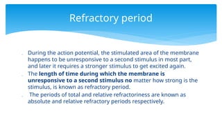  During the action potential, the stimulated area of the membrane
happens to be unresponsive to a second stimulus in most part,
and later it requires a stronger stimulus to get excited again.
 The length of time during which the membrane is
unresponsive to a second stimulus no matter how strong is the
stimulus, is known as refractory period.
 The periods of total and relative refractoriness are known as
absolute and relative refractory periods respectively.
Refractory period
 