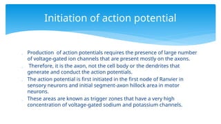  Production of action potentials requires the presence of large number
of voltage-gated ion channels that are present mostly on the axons.
 Therefore, it is the axon, not the cell body or the dendrites that
generate and conduct the action potentials.
 The action potential is first initiated in the first node of Ranvier in
sensory neurons and initial segment-axon hillock area in motor
neurons.
 These areas are known as trigger zones that have a very high
concentration of voltage-gated sodium and potassium channels.
Initiation of action potential
 
