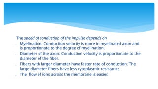 The speed of conduction of the impulse depends on
 Myelination: Conduction velocity is more in myelinated axon and
is proportionate to the degree of myelination.
 Diameter of the axon: Conduction velocity is proportionate to the
diameter of the fiber.
 Fibers with larger diameter have faster rate of conduction. The
large diameter fibers have less cytoplasmic resistance.
 The flow of ions across the membrane is easier.
 