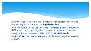  After the depolarization phase, return of the potential towards
the resting value is known as repolarization.
 As the interior of the cell becomes more negative in relation to
RMP, due to influx of negative charges or removal of positive
charges, the membrane is said to be hyperpolarized.
 In this state, the membrane potential is more negative in relation
to RMP.
 