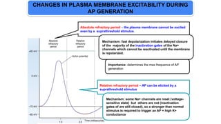 Repolarized Nerve Potential & Properties of Nerve- DV.pptx