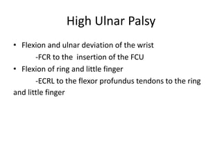 High Ulnar Palsy
• Flexion and ulnar deviation of the wrist
-FCR to the insertion of the FCU
• Flexion of ring and little finger
-ECRL to the flexor profundus tendons to the ring
and little finger
 