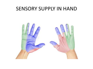 SENSORY SUPPLY IN HAND
 