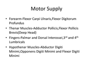 Motor Supply
• Forearm-Flexor Carpi Ulnaris,Flexor Digitorum
Profundus
• Thenar Muscles-Adductor Pollicis,Flexor Pollicis
Brevis(Deep Head)
• Fingers-Palmar and Dorsal Interossei,3rd and 4th
Lumbricals
• Hypothenar Muscles-Abductor Digiti
Minimi,Opponens Digiti Minimi and Flexor Digiti
Minimi
 