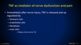 TNF as mediator of nerve dysfunction and pain
• Immediately after nerve injury, TNF is released and up
regulated by
– Schwann cells
– endothelial cells
– fibroblasts
– mast cells.
» Wagner, Neuroscience ‘96
 