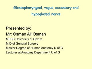 Glossopharyngeal, vagus, accessory and
hypoglossal nerve
Presented by:
Mr: Osman Ali Osman
MBBS University of Gezira
M.D of General Surgery
Master Degree of Human Anatomy U of G
Lecturer at Anatomy Department U of G
 