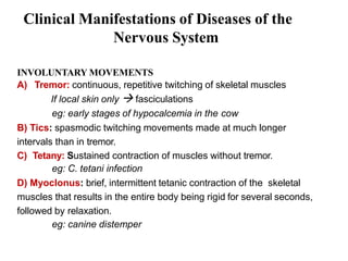 Clinical Manifestations of Diseases of the
Nervous System
INVOLUNTARY MOVEMENTS
A) Tremor: continuous, repetitive twitching of skeletal muscles
If local skin only  fasciculations
eg: early stages of hypocalcemia in the cow
B) Tics: spasmodic twitching movements made at much longer
intervals than in tremor.
C) Tetany: Sustained contraction of muscles without tremor.
eg: C. tetani infection
D) Myoclonus: brief, intermittent tetanic contraction of the skeletal
muscles that results in the entire body being rigid for several seconds,
followed by relaxation.
eg: canine distemper
 