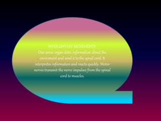INVOLUNTARY MOVEMENTS: 
Our sense organ detec information about the 
enviroment and send it to the spnal cord. It 
interpretes information and reacts quickly. Motor 
nerves transmit the nerve impulses from the spinal 
cord to muscles. 
 
