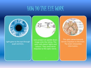 HOW DO THE EYE WORK 
Light goes to the eye through 
pupil and lens. 
Lens project an upside down 
image onto the retina. The 
optic cells detect lights and 
colours. They send nerve 
impulses to the optic nerve . 
The optic nerve transmit 
nerves impulses to the brain. 
The brain interpretes 
information. 
 
