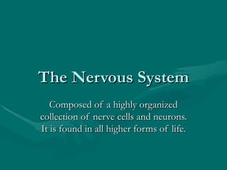 The Nervous System
   Composed of a highly organized
collection of nerve cells and neurons.
It is found in all higher forms of life.
 