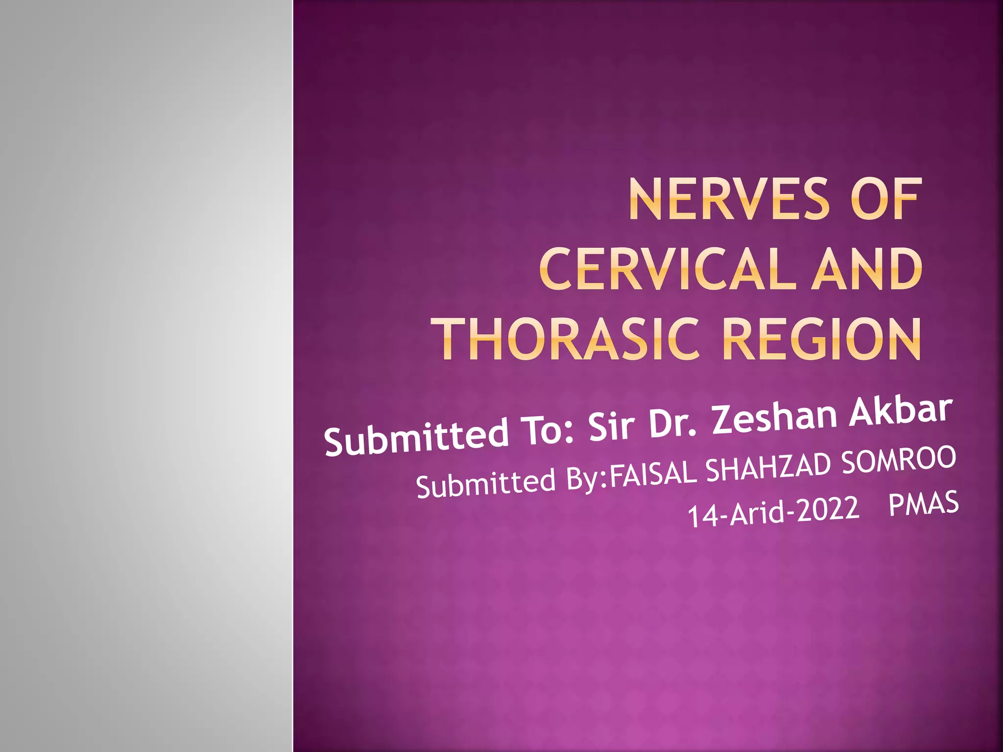 Nerves of cervical and thorasic region | PPTX