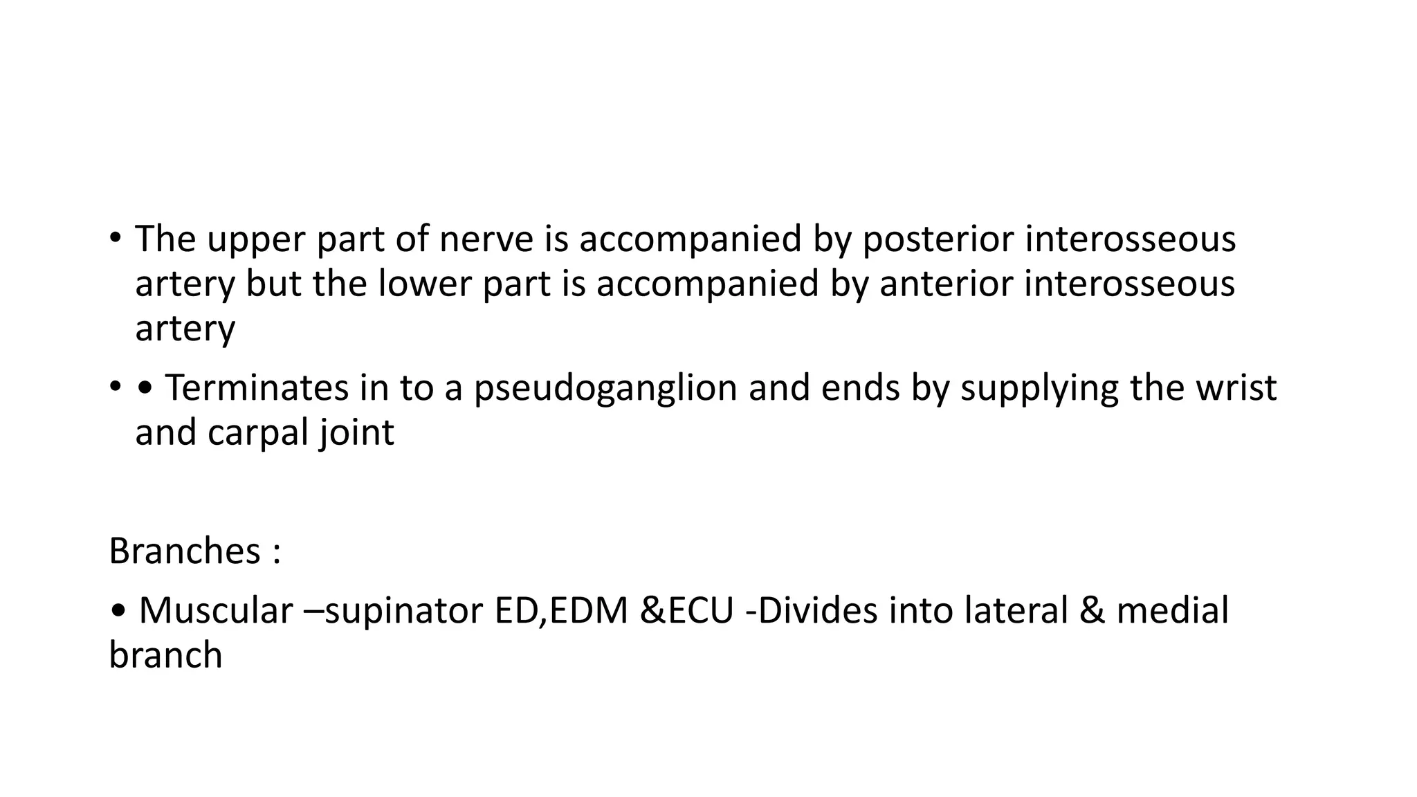 • The upper part of nerve is accompanied by posterior interosseous
artery but the lower part is accompanied by anterior interosseous
artery
• • Terminates in to a pseudoganglion and ends by supplying the wrist
and carpal joint
Branches :
• Muscular –supinator ED,EDM &ECU -Divides into lateral & medial
branch
 