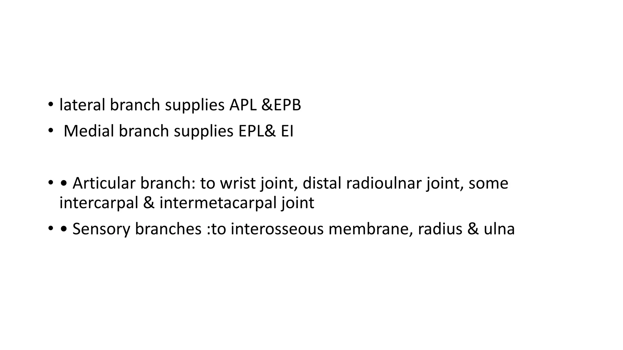 • lateral branch supplies APL &EPB
• Medial branch supplies EPL& EI
• • Articular branch: to wrist joint, distal radioulnar joint, some
intercarpal & intermetacarpal joint
• • Sensory branches :to interosseous membrane, radius & ulna
 