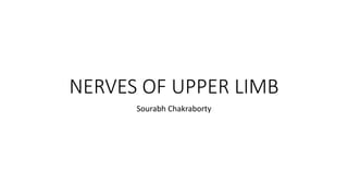 NERVES OF UPPER LIMB
Sourabh Chakraborty
 