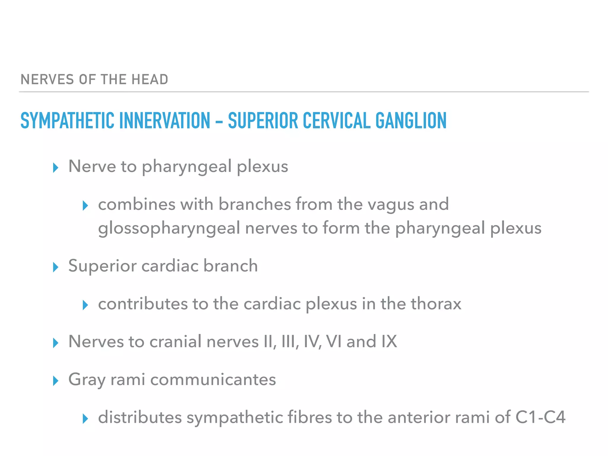 Nerves of the head | PDF