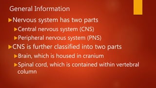 V3 – Mandibular Nerve, Head and Neck Anatomy: Part III – Cranial Nerves