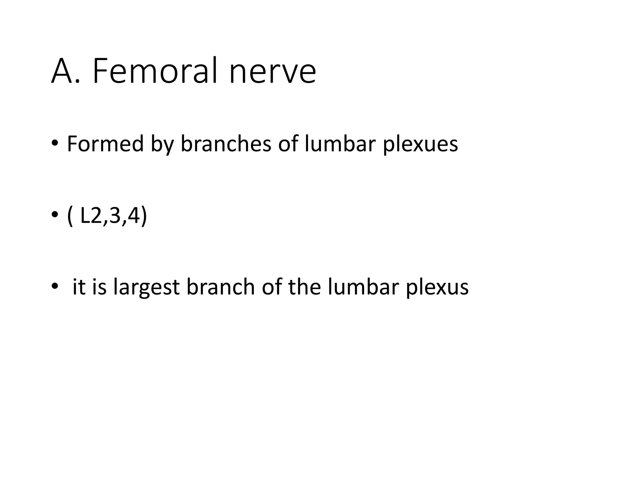 A. Femoral nerve
• Formed by branches of lumbar plexues
• ( L2,3,4)
• it is largest branch of the lumbar plexus
 