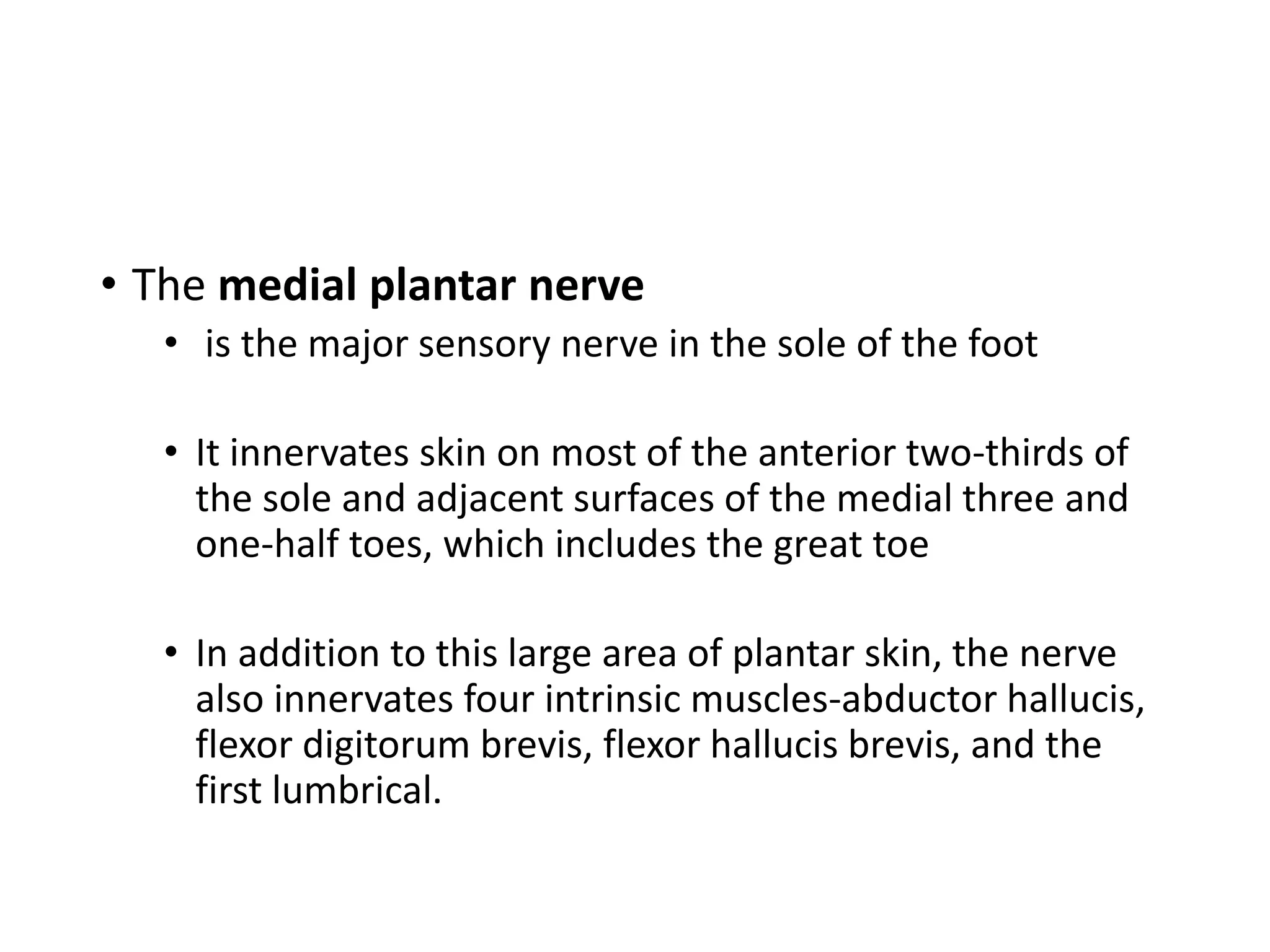 • The medial plantar nerve
• is the major sensory nerve in the sole of the foot
• It innervates skin on most of the anterior two-thirds of
the sole and adjacent surfaces of the medial three and
one-half toes, which includes the great toe
• In addition to this large area of plantar skin, the nerve
also innervates four intrinsic muscles-abductor hallucis,
flexor digitorum brevis, flexor hallucis brevis, and the
first lumbrical.
 