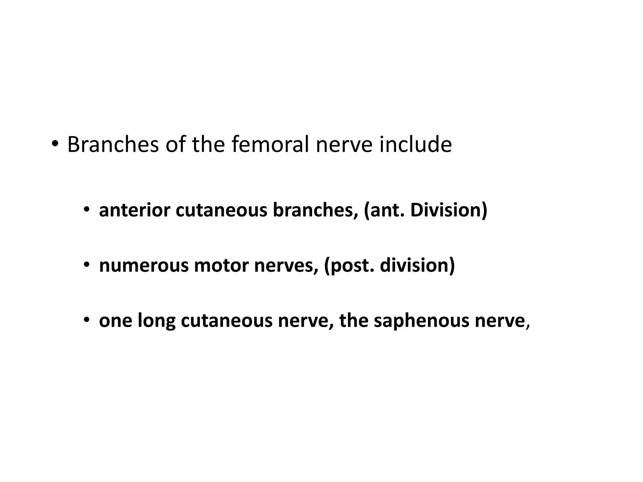 • Branches of the femoral nerve include
• anterior cutaneous branches, (ant. Division)
• numerous motor nerves, (post. division)
• one long cutaneous nerve, the saphenous nerve,
 