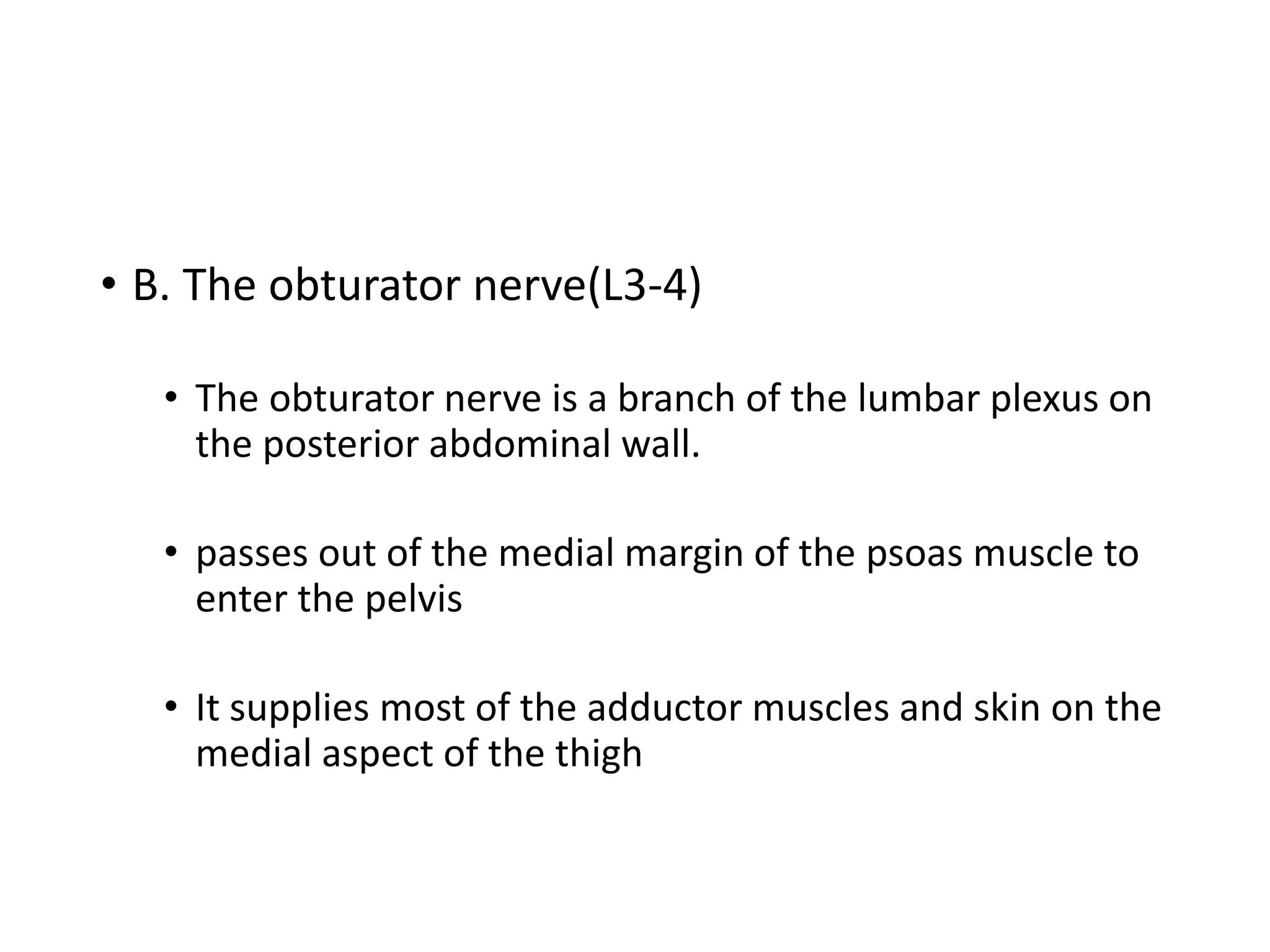• B. The obturator nerve(L3-4)
• The obturator nerve is a branch of the lumbar plexus on
the posterior abdominal wall.
• passes out of the medial margin of the psoas muscle to
enter the pelvis
• It supplies most of the adductor muscles and skin on the
medial aspect of the thigh
 