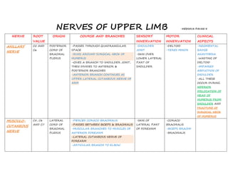 NERVES OF UPPER LIMB                                                     -KESHAVA PAVAN K


  NERVE     ROOT      ORIGIN           COURSE AND BRANCHES             SENSORY         MOTOR              CLINICAL
            VALUE                                                      INNERVATION     INNERVATION        ASPECTS
AXILLARY    C5 AND   POSTERIOR   -PASSES THROUGH QUADRANGULAR          -SHOULDER       -DELTOID           -REGIMENTAL
            C6       CORD OF     SPACE                                 JOINT           -TERES MINOR       BADGE
NERVE
                     BRACHIAL    -RUNS AROUND SURGICAL NECK OF         -SKIN OVER                         ANASTHESIA
                     PLEXUS      HUMERUS                               LOWER LATERAL                      -WASTING OF
                                 -GIVES A BRANCH TO SHOULDER JOINT,    PART OF                            DELTOID
                                 THEN DIVIDES TO ANTERIOR &            SHOULDER                           -IMPAIRED
                                 POSTERIOR BRANCHES                                                       ABDUCTION OF
                                 -ANTERIOR BRANCH CONTINUES AS                                            SHOULDER
                                 UPPER LATERAL CUTANEOUS NERVE OF                                         -ALL THESE
                                 ARM                                                                      OCCUR DURING
                                                                                                          INFERIOR
                                                                                                          DISLOCATION OF
                                                                                                          HEAD OF
                                                                                                          HUMERUS FROM
                                                                                                          SHOULDER AND
                                                                                                          FRACTURE OF
                                                                                                          SURGICAL NECK
                                                                                                          OF HUMERUS
MUSCULO-    C5, C6   LATERAL     -PIERCES CORACO BRACHIALIS            -SKIN OF        -CORACO
            AND C7   CORD OF     -PASSES BETWEEN BICEPS & BRACHIALIS   LATERAL PART    BRACHIALIS
CUTANEOUS
                     BRACHIAL    -MUSCULAR BRANCHES TO MUSCLES OF      OF FOREARM      -BICEPS BRACHII
NERVE                PLEXUS      ANTERIOR FOREARM                                      -BRACHIALIS
                                 -LATERAL CUTANEOUS NERVE OF
                                 FOREARM
                                 -ARTICULAR BRANCH TO ELBOW
 