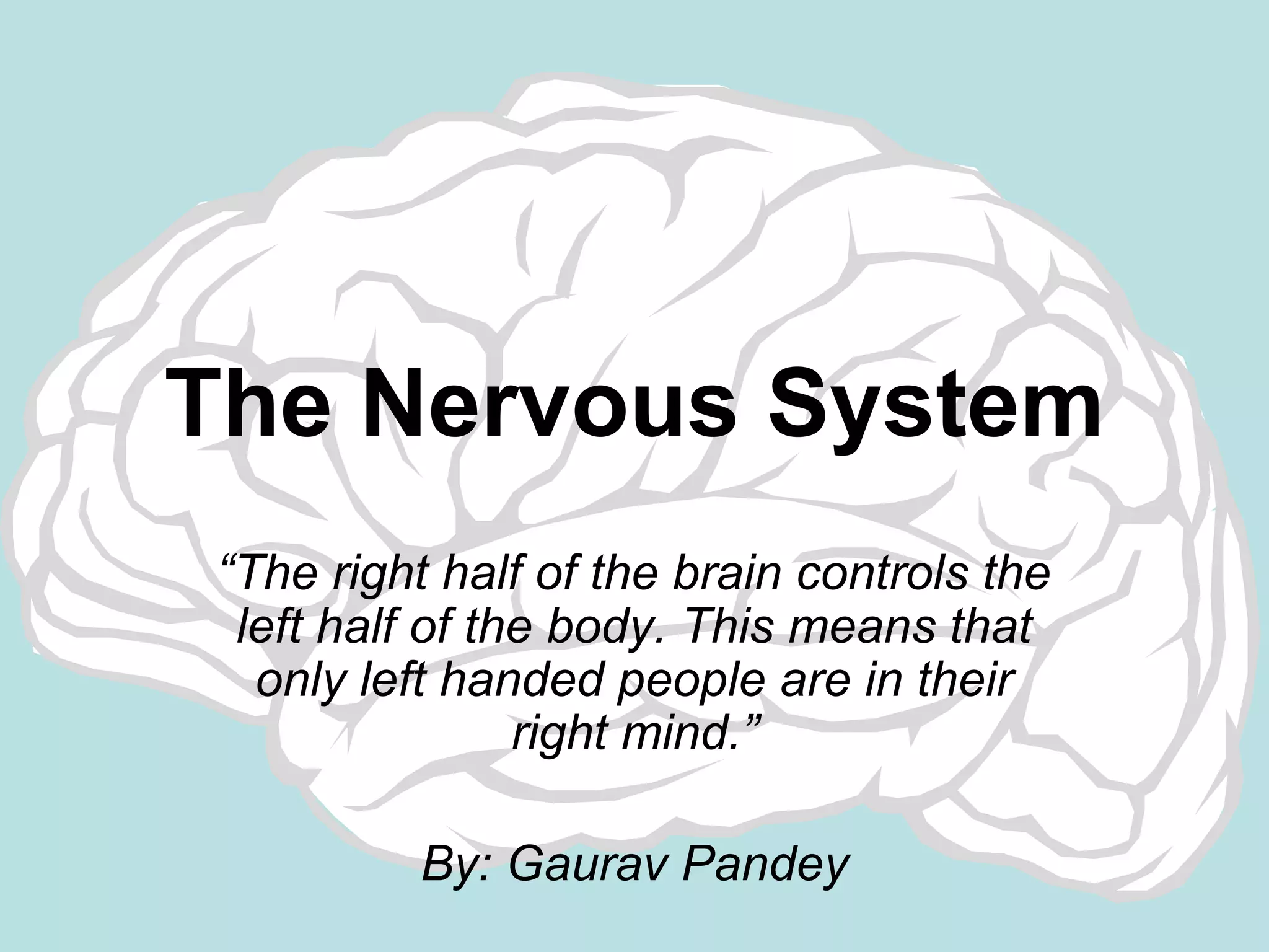 Nerves system(CNS, PNS) | PPT