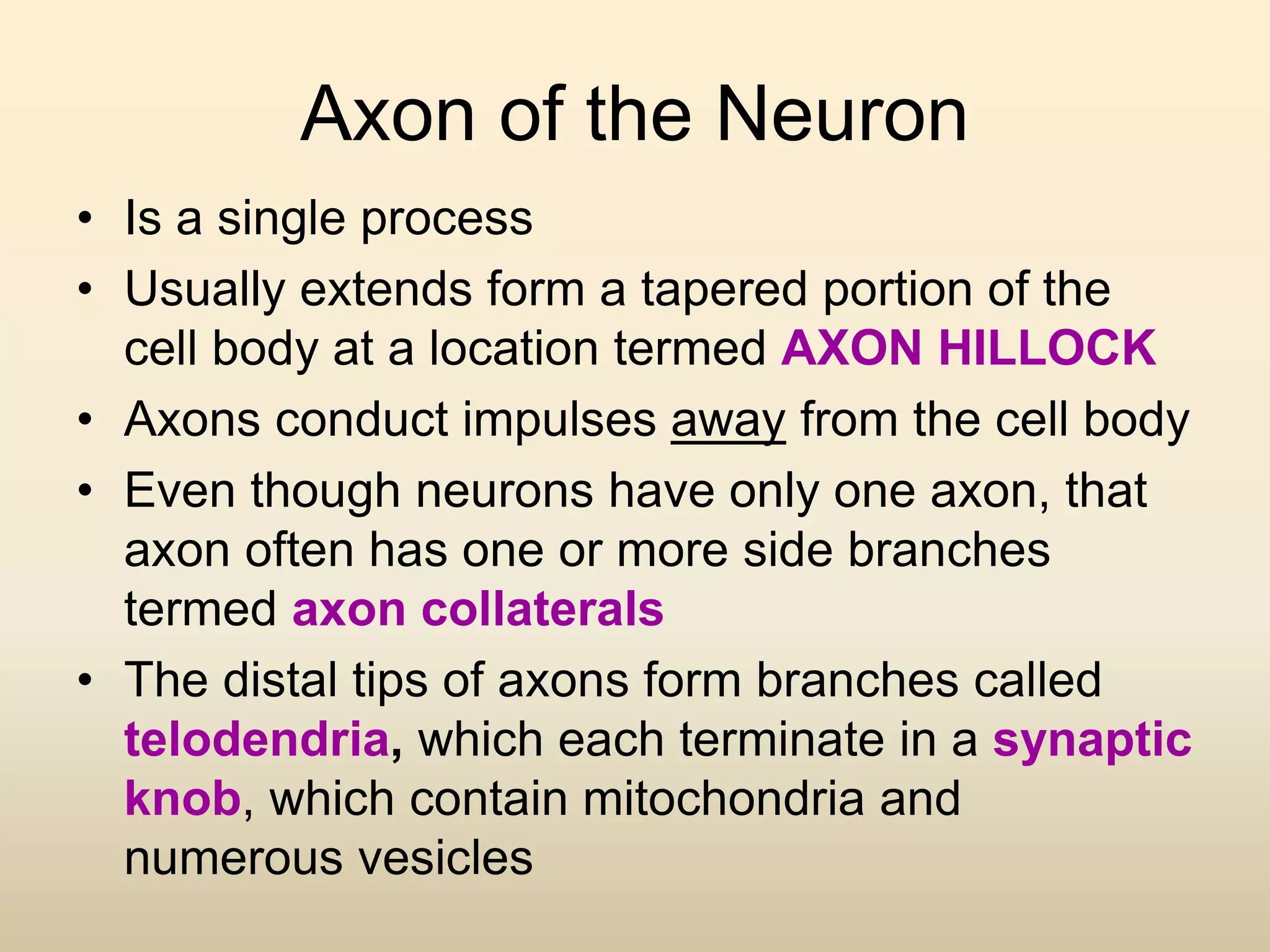 Axon of the Neuron
• Is a single process
• Usually extends form a tapered portion of the
cell body at a location termed AXON HILLOCK
• Axons conduct impulses away from the cell body
• Even though neurons have only one axon, that
axon often has one or more side branches
termed axon collaterals
• The distal tips of axons form branches called
telodendria, which each terminate in a synaptic
knob, which contain mitochondria and
numerous vesicles
 