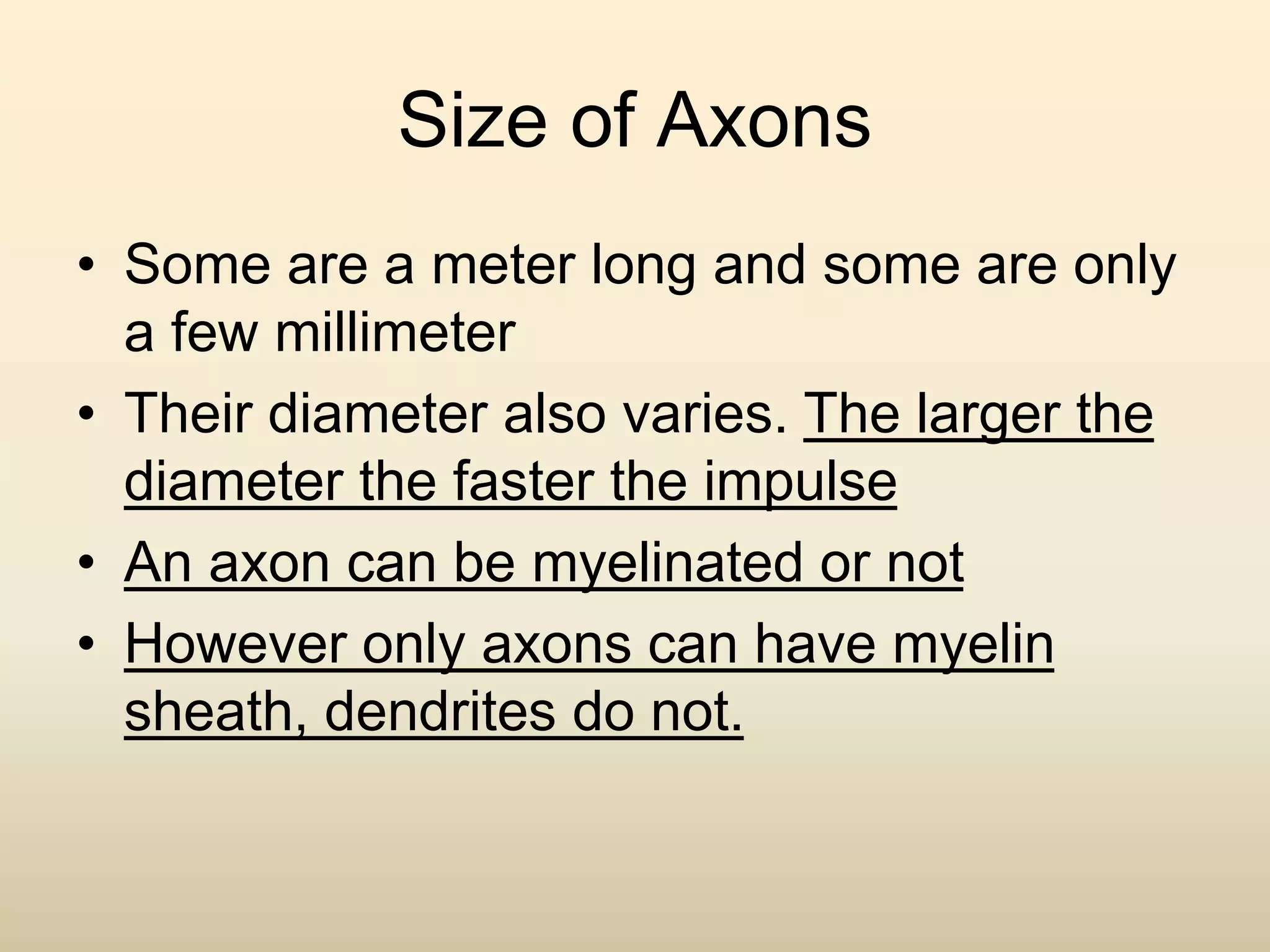 Size of Axons
• Some are a meter long and some are only
a few millimeter
• Their diameter also varies. The larger the
diameter the faster the impulse
• An axon can be myelinated or not
• However only axons can have myelin
sheath, dendrites do not.
 