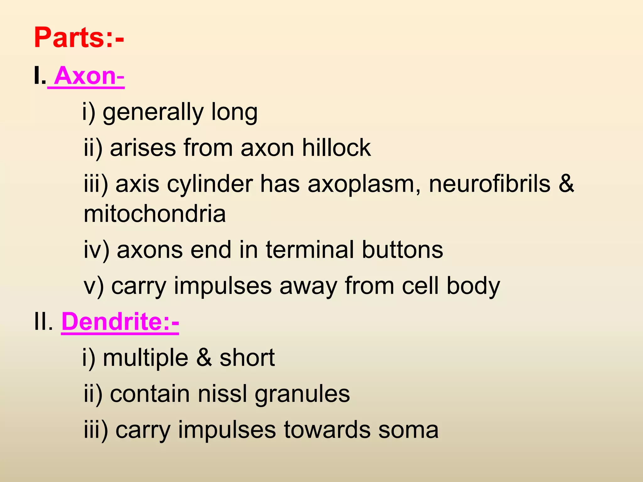 Parts:-
I. Axon-
i) generally long
ii) arises from axon hillock
iii) axis cylinder has axoplasm, neurofibrils &
mitochondria
iv) axons end in terminal buttons
v) carry impulses away from cell body
II. Dendrite:-
i) multiple & short
ii) contain nissl granules
iii) carry impulses towards soma
 