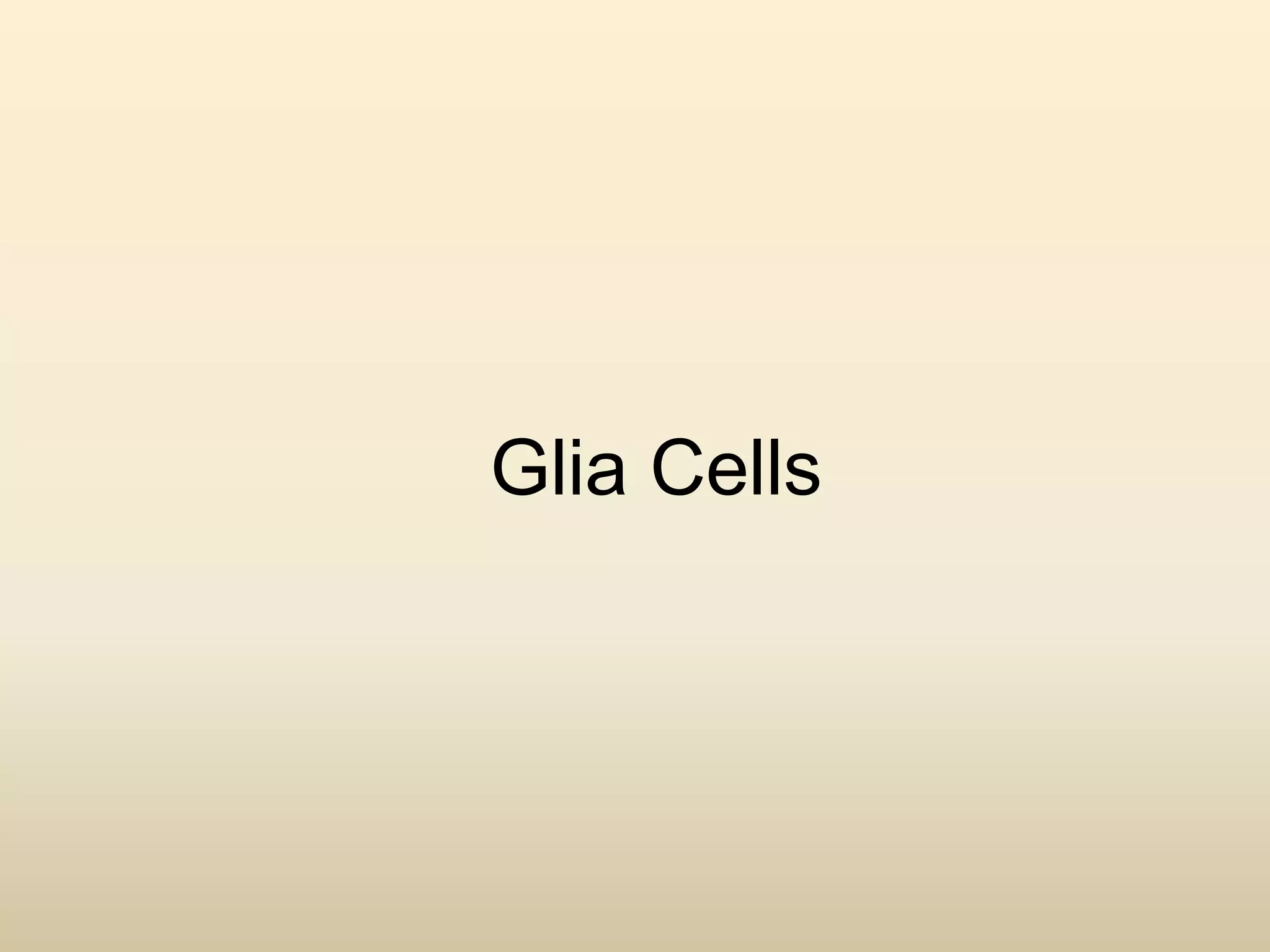 Glia Cells
 