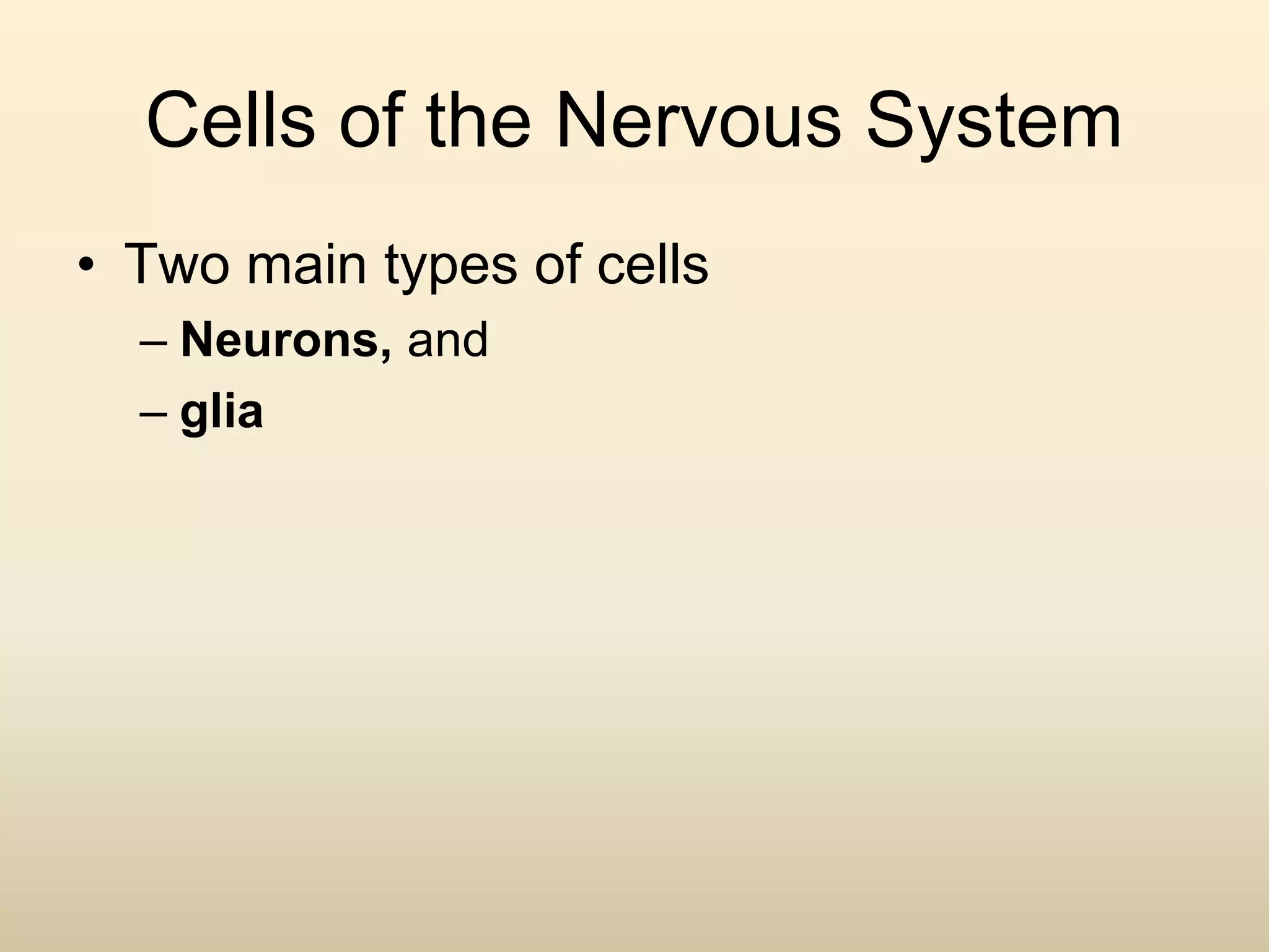 Cells of the Nervous System
• Two main types of cells
– Neurons, and
– glia
 