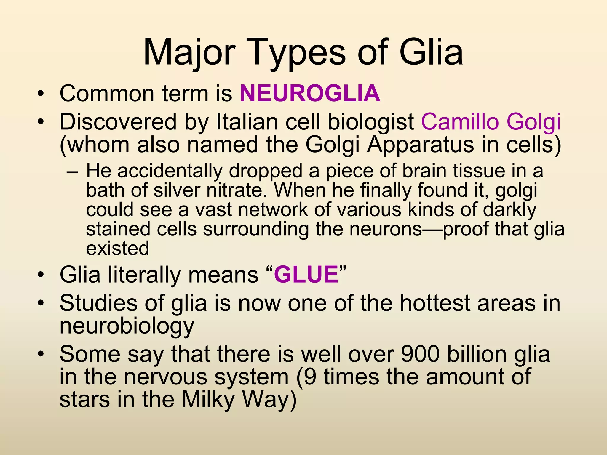 Major Types of Glia
• Common term is NEUROGLIA
• Discovered by Italian cell biologist Camillo Golgi
(whom also named the Golgi Apparatus in cells)
– He accidentally dropped a piece of brain tissue in a
bath of silver nitrate. When he finally found it, golgi
could see a vast network of various kinds of darkly
stained cells surrounding the neurons—proof that glia
existed
• Glia literally means “GLUE”
• Studies of glia is now one of the hottest areas in
neurobiology
• Some say that there is well over 900 billion glia
in the nervous system (9 times the amount of
stars in the Milky Way)
 