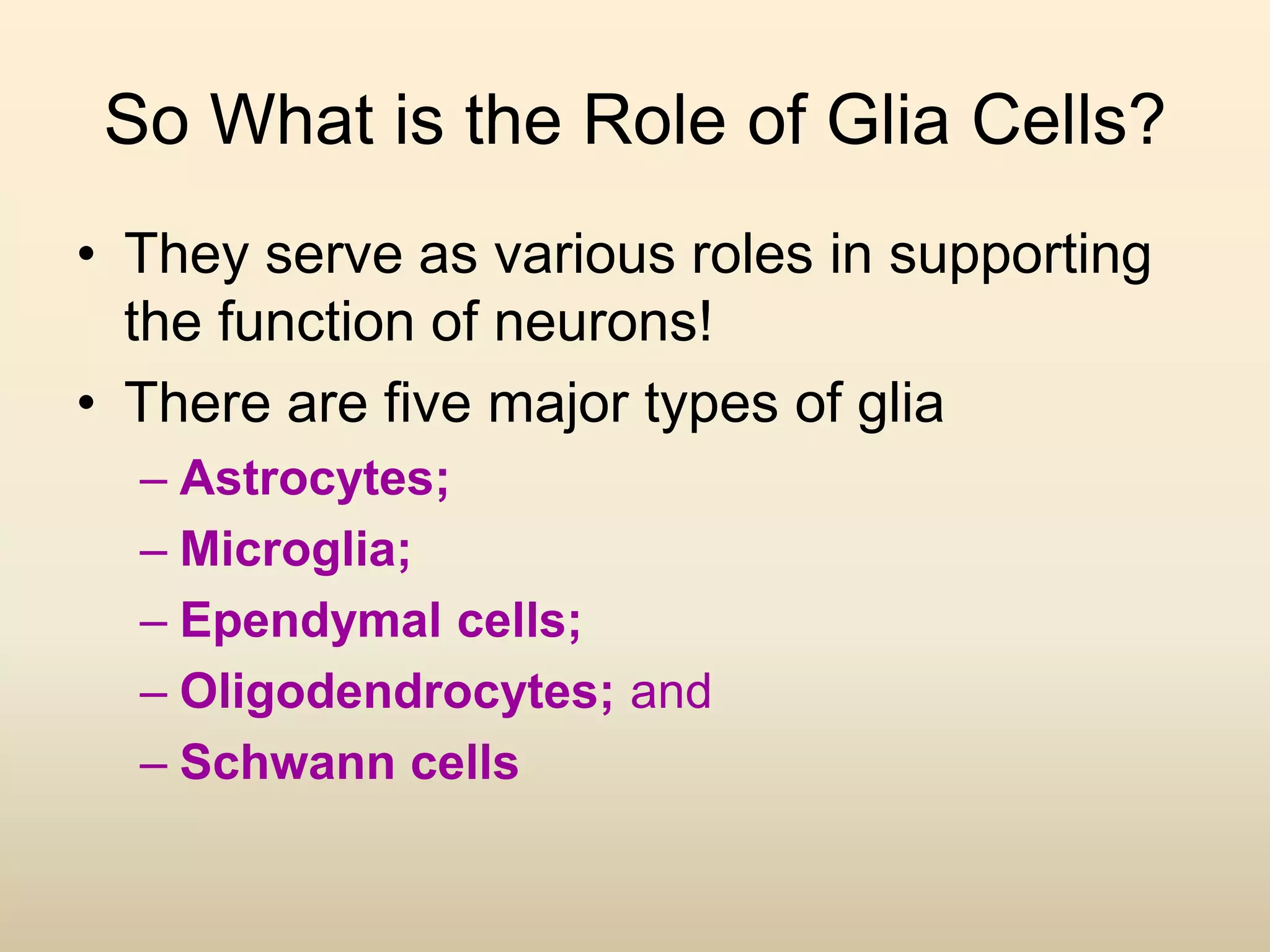 So What is the Role of Glia Cells?
• They serve as various roles in supporting
the function of neurons!
• There are five major types of glia
– Astrocytes;
– Microglia;
– Ependymal cells;
– Oligodendrocytes; and
– Schwann cells
 