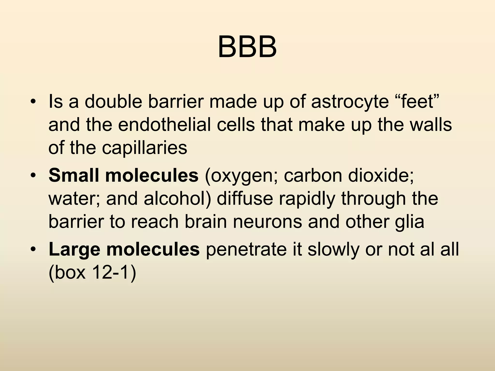 BBB
• Is a double barrier made up of astrocyte “feet”
and the endothelial cells that make up the walls
of the capillaries
• Small molecules (oxygen; carbon dioxide;
water; and alcohol) diffuse rapidly through the
barrier to reach brain neurons and other glia
• Large molecules penetrate it slowly or not al all
(box 12-1)
 