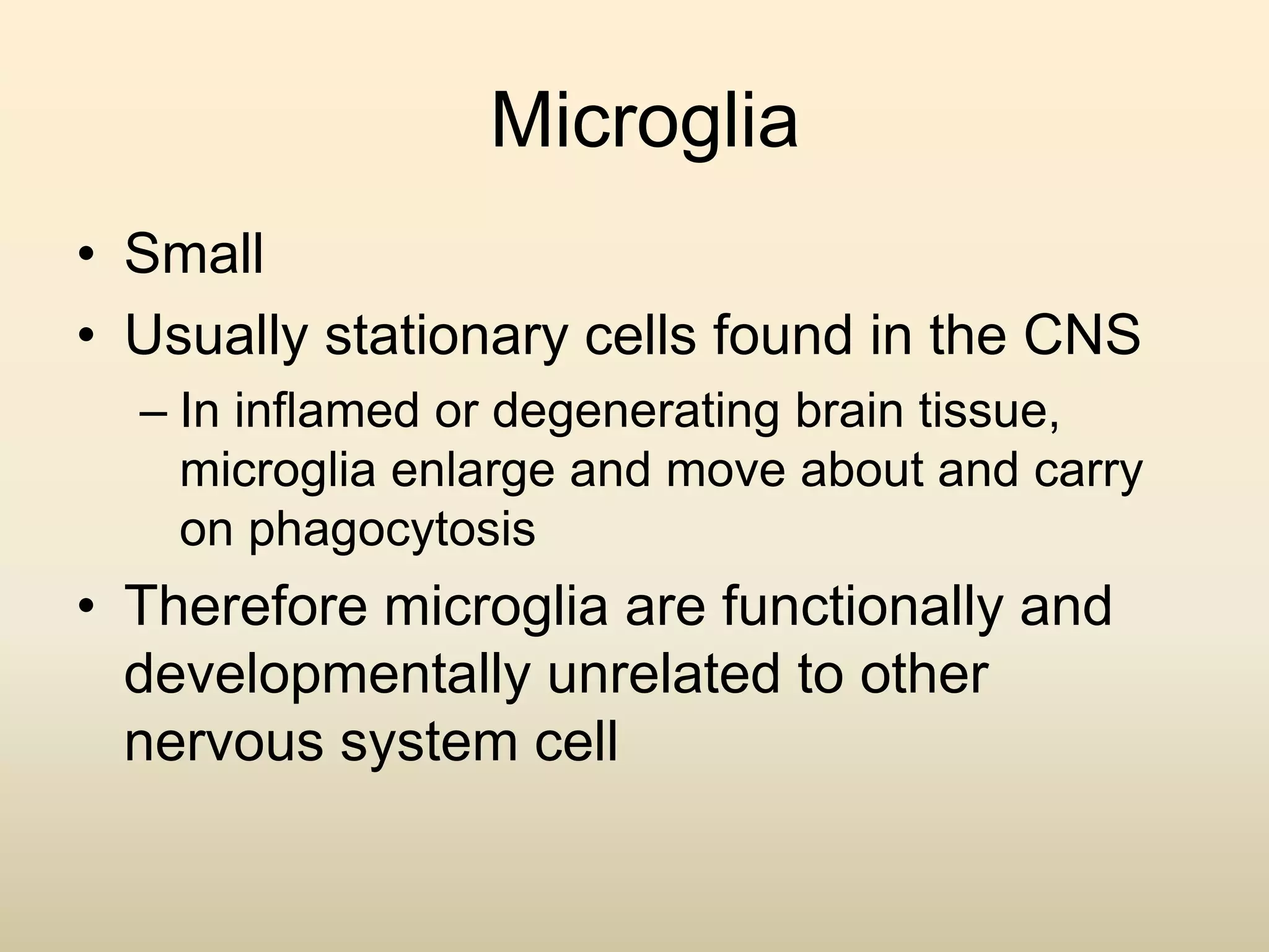 Microglia
• Small
• Usually stationary cells found in the CNS
– In inflamed or degenerating brain tissue,
microglia enlarge and move about and carry
on phagocytosis
• Therefore microglia are functionally and
developmentally unrelated to other
nervous system cell
 