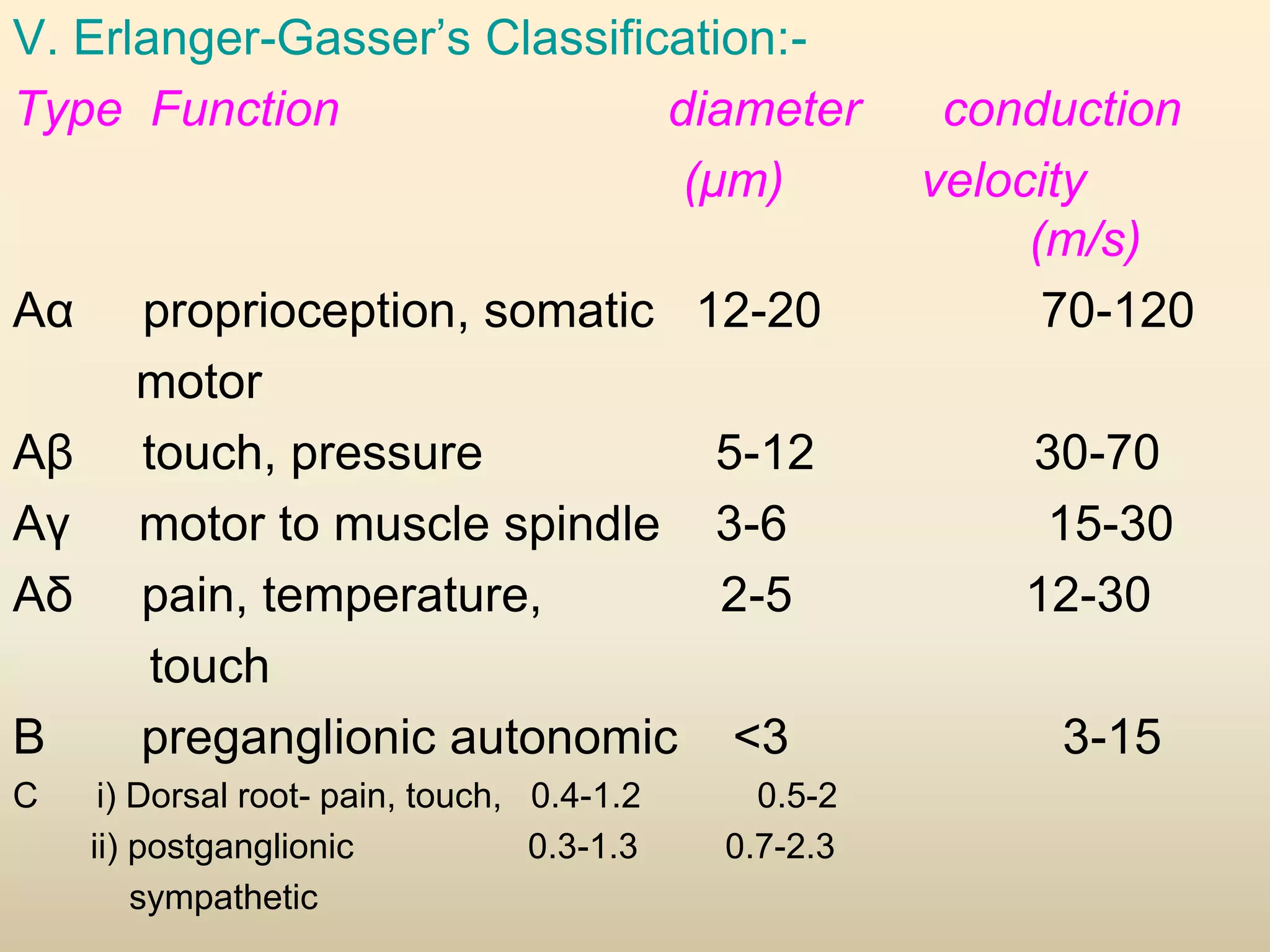 V. Erlanger-Gasser’s Classification:-
Type Function diameter conduction
(μm) velocity
(m/s)
Aα proprioception, somatic 12-20 70-120
motor
Aβ touch, pressure 5-12 30-70
Aγ motor to muscle spindle 3-6 15-30
Aδ pain, temperature, 2-5 12-30
touch
B preganglionic autonomic <3 3-15
C i) Dorsal root- pain, touch, 0.4-1.2 0.5-2
ii) postganglionic 0.3-1.3 0.7-2.3
sympathetic
 