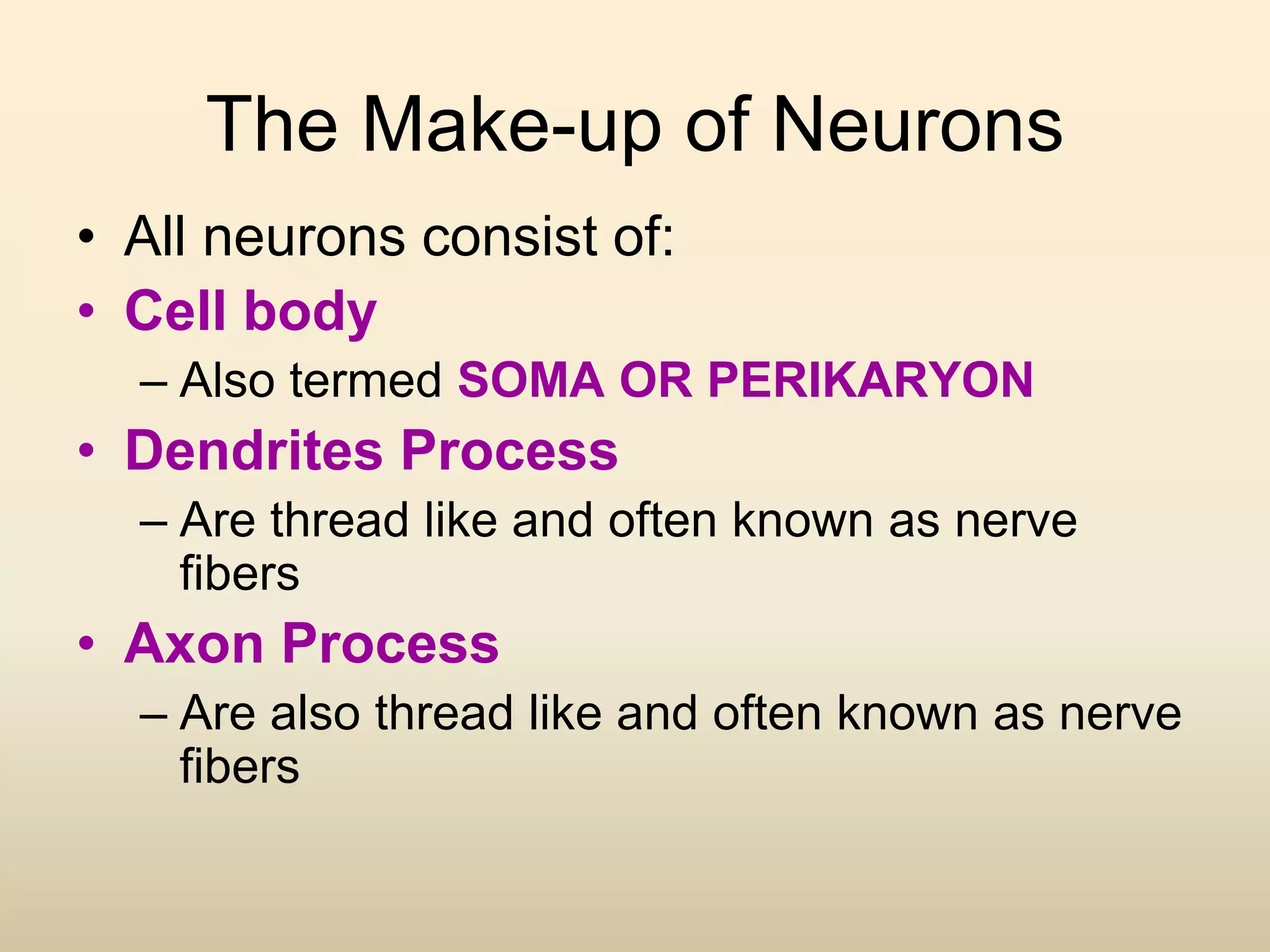 The Make-up of Neurons
• All neurons consist of:
• Cell body
– Also termed SOMA OR PERIKARYON
• Dendrites Process
– Are thread like and often known as nerve
fibers
• Axon Process
– Are also thread like and often known as nerve
fibers
 