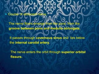  Course of abducent nerve : 
The nerve fibers emerge from the pons from the 
groove between pons and medulla oblongata. 
It passes through cavernous sinus and lies below 
the internal carotid artery. 
The nerve enters the orbit through superior orbital 
fissure. 
 