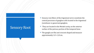 Sensorial Roots nerve supply of maxilla and mandible | PPTX